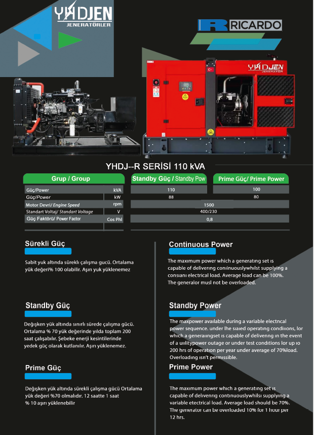 110 KVA OTOMATİK KABİNLİ DİZEL JENERATÖR SET RİCARDO